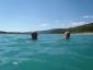 Schwimm im Lac de St. Croix - Frankreich